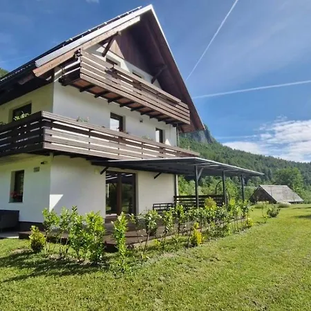 Kolacko Bohinj