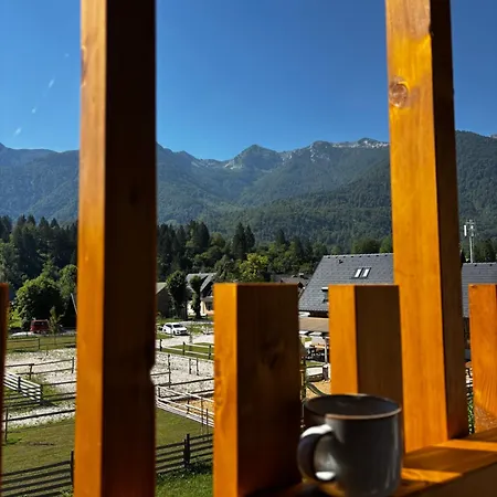 Apartmaji Ob Savi